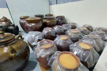 Chum ủ dấm gạo theo lối cổ truyền
