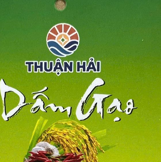Nhãn dấm gạo Thuận Hải can 20 lít